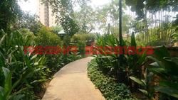 Thomson 800 (D11), Condominium #104718532